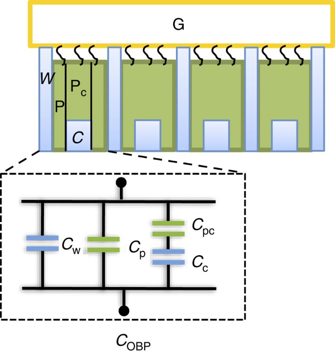 Figure 9: Capacitive-modulated transduction of protein–ligand interactions.