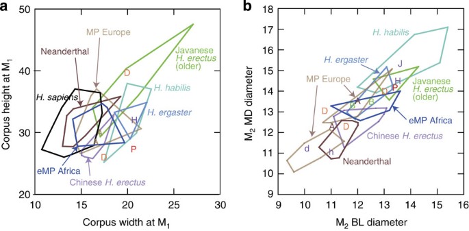 Figure 5: Bivariate plots of selected measurements.