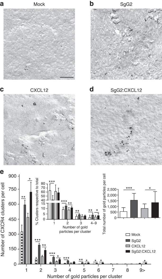 Herpes simplex virus enhances chemokine function through