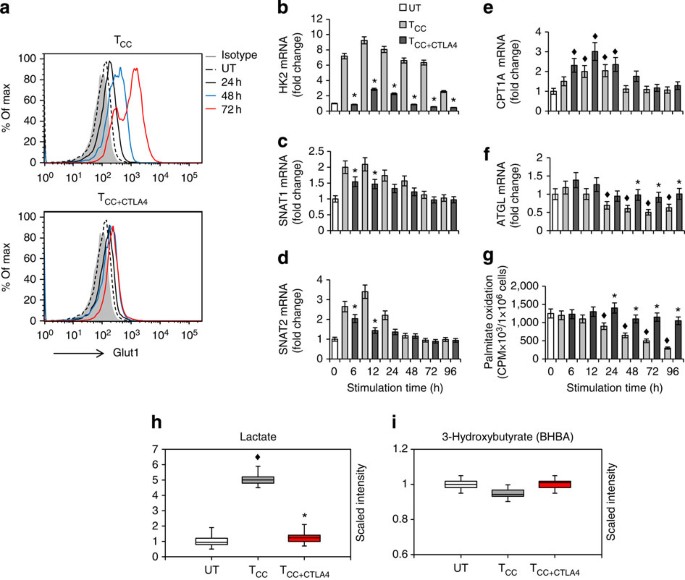 Figure 7: CTLA-4 inhibits glycolytic reprogramming without increasing the rate of fatty acid β-oxidation.
