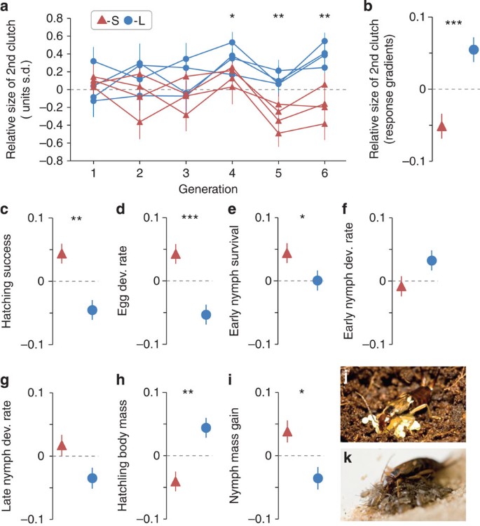 Parent–offspring conflict and the genetic trade-offs shaping parental  investment | Nature Communications