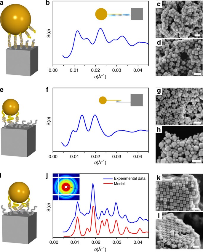 superlattices assembled through shape