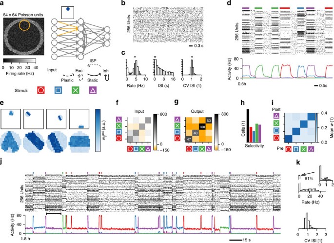 Figure 3: Stable formation and recall of memory assemblies.