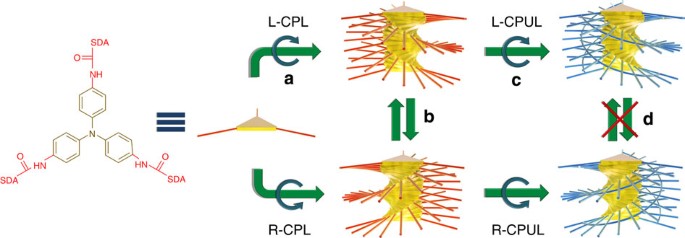 Figure 6: Manipulation of supramolecular chirality entirely by light.