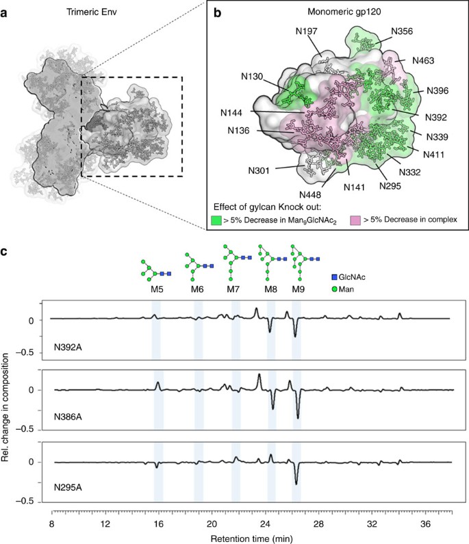Glycan Clustering Stabilizes The Mannose Patch Of Hiv 1 And Preserves Vulnerability To Broadly Neutralizing Antibodies Nature Communications