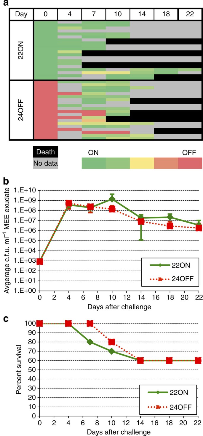 A Biphasic Epigenetic Switch Controls Immunoevasion Virulence And Niche Adaptation In Non Typeable Haemophilus Influenzae Nature Communications