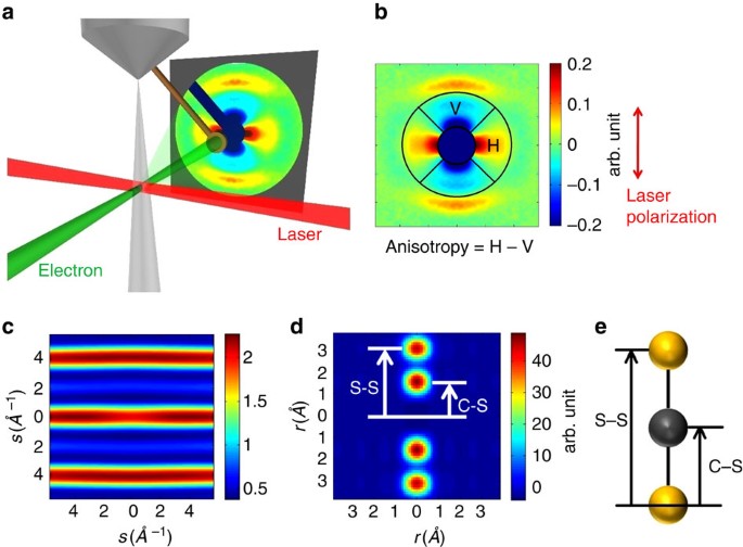 Figure 1: Experimental setup and data analysis methods.