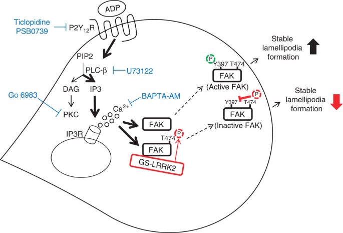 figure 9