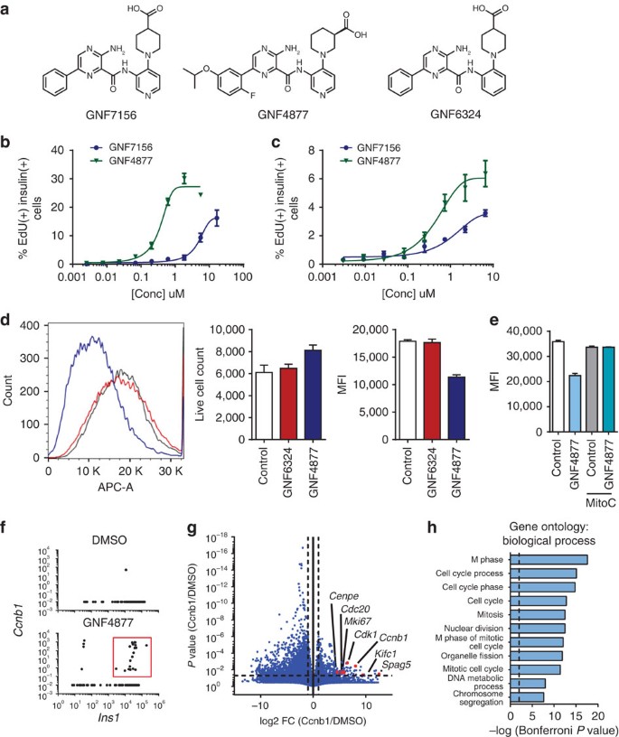 Inhibition Of Dyrk1a And Gsk3b Induces Human B Cell Proliferation Nature Communications