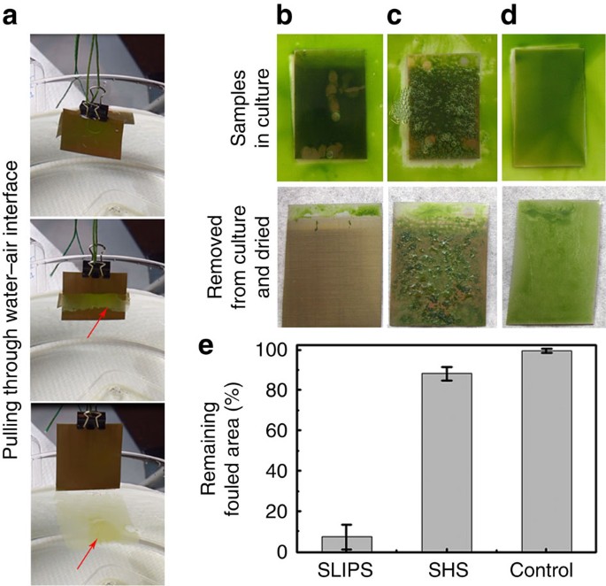 Extremely Durable Biofouling Resistant Metallic Surfaces Based On Electrodeposited Nanoporous Tungstite Films On Steel Nature Communications