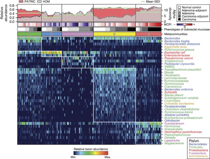 Figure 1: Characterization of 16S rRNA gene catalogue for mucosal microbial communities in colorectal carcinogenesis.