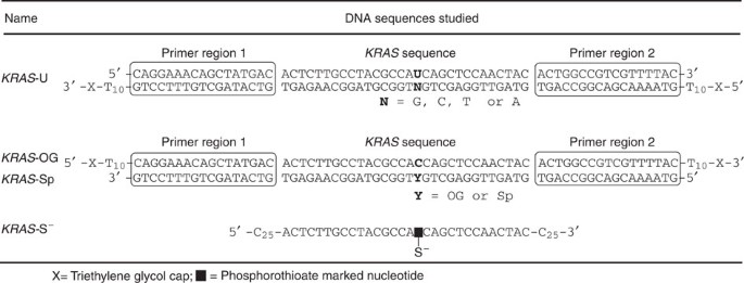 Identification Of Dna Lesions Using A Third Base Pair For Amplification And Nanopore Sequencing Nature Communications