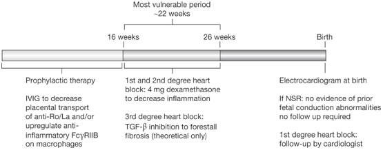 Cardiac manifestations of neonatal lupus erythematosus: guidelines to management, integrating clues from the bench and bedside | Nature Reviews Rheumatology Cardiac manifestations of neonatal lupus erythematosus: guidelines to management, integrating clues from the bench and bedside | Nature Reviews Rheumatology