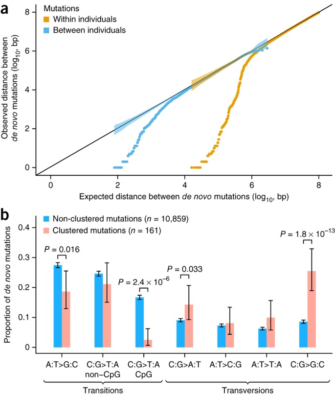 Genome Wide Patterns And Properties Of De Novo Mutations In Humans Nature Genetics