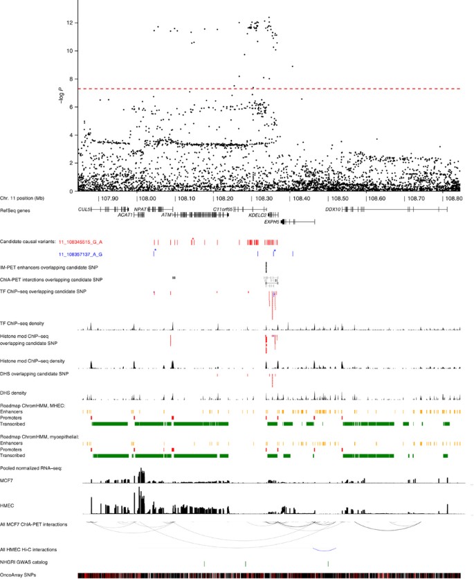 Identification Of Ten Variants Associated With Risk Of Estrogen Receptor Negative Breast Cancer Nature Genetics