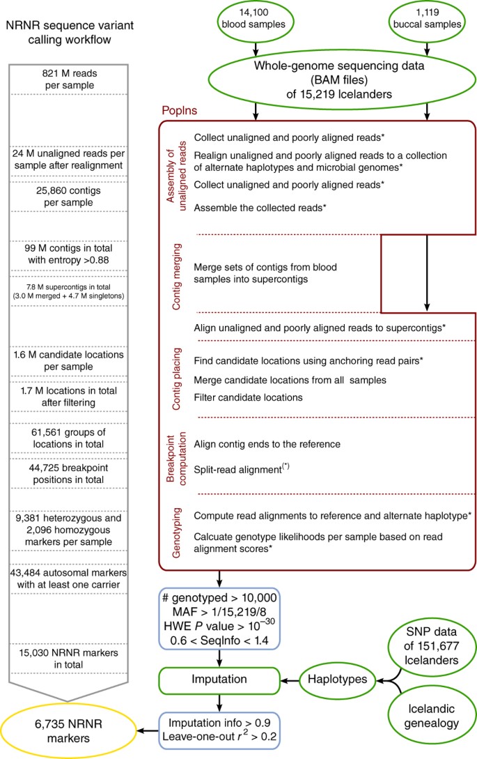 Diversity In Non Repetitive Human Sequences Not Found In The Reference Genome Nature Genetics