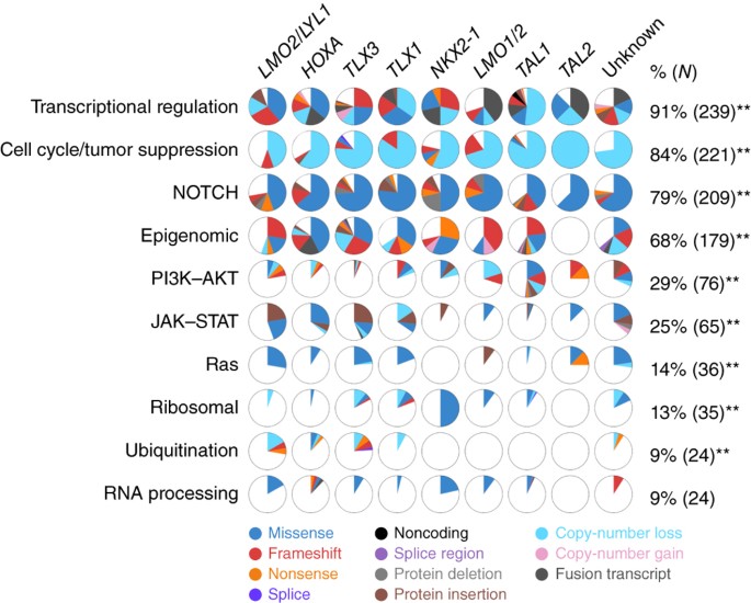 9 Pounds In Lei Bnghfd