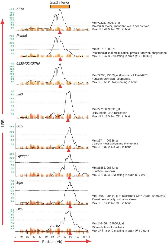 Uncovering regulatory pathways that affect hematopoietic stem cell function using 'genetical genomics'