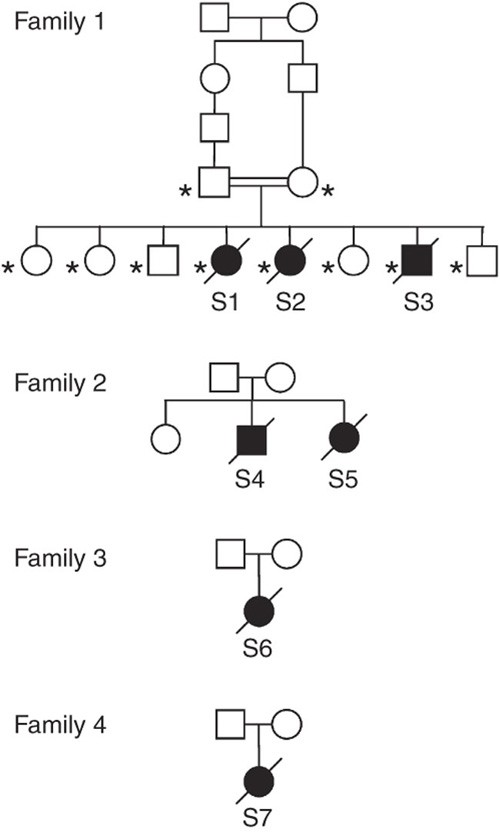 Mutation Of Rrm2b Encoding P53 Controlled Ribonucleotide Reductase P53r2 Causes Severe Mitochondrial Dna Depletion Nature Genetics Mutation Of Rrm2b Encoding P53 Controlled Ribonucleotide Reductase P53r2 Causes Severe Mitochondrial Dna Depletion Nature Genetics