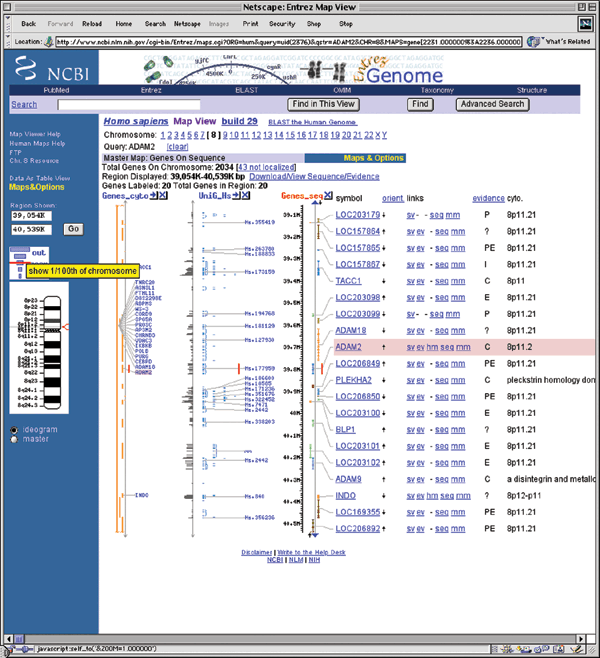 Question 1 How Does One Find A Gene Of Interest And Determine That
