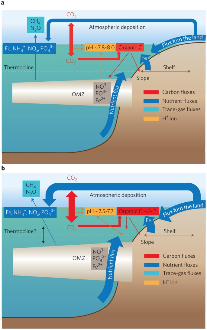 CP - Biotic response of plankton communities to Middle to Late Miocene  monsoon wind and nutrient flux changes in the Oman margin upwelling zone