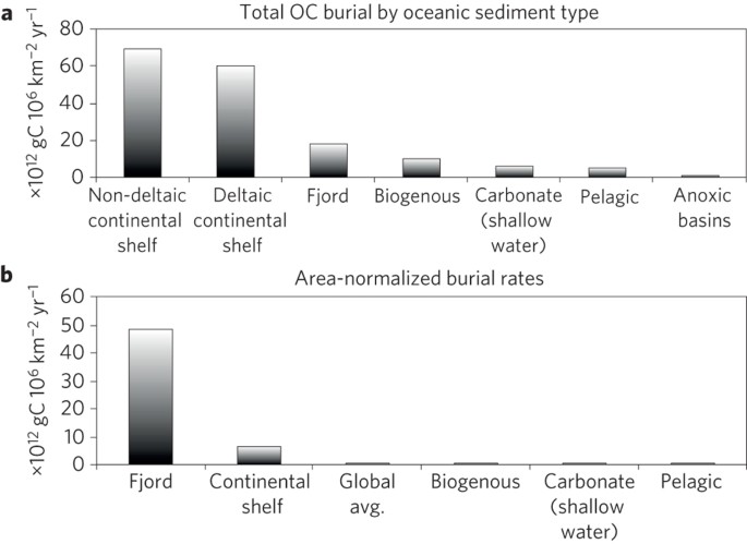 High Rates Of Organic Carbon Burial In Fjord Sediments Globally Nature Geoscience