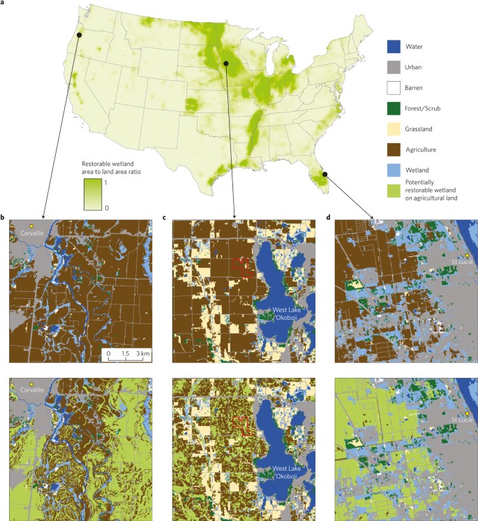 EVALUATION OF PERMANENT PRESERVE AREAS ON PLANIMETRIC SURFACE AND MODELED  SURFACE IN ENVIRONMENTAL PROTECTION AREA OF PETROPOLIS MOUTAIN  REGION--RJ/AVALIACAO DE AREAS DE PRESERVACAO PERMANENTE EM SUPERFICIE  PLANIMETRICA E SUPERFICIE MODELADA NA AREA