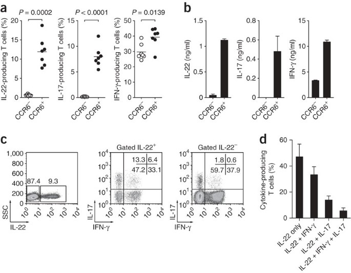 Production Of Interleukin 22 But Not Interleukin 17 By A Subset Of Human Skin Homing Memory T Cells Nature Immunology Production Of Interleukin 22 But Not Interleukin 17 By A Subset Of Human Skin Homing Memory T Cells Nature Immunology