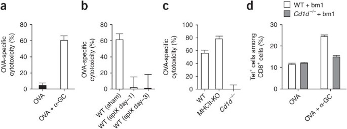 Alternative Cross Priming Through Ccl17 Ccr4 Mediated Attraction Of Ctls Toward Nkt Cell Licensed Dcs Nature Immunology Alternative Cross Priming Through Ccl17 Ccr4 Mediated Attraction Of Ctls Toward Nkt Cell Licensed Dcs Nature Immunology