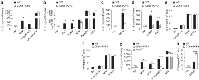 The PYRIN domain–only protein POP3 inhibits ALR inflammasomes and regulates  responses to infection with DNA viruses | Nature Immunology