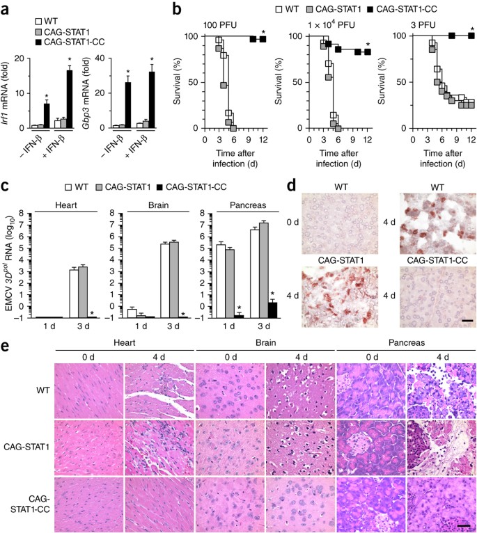 Parp9 Dtx3l Ubiquitin Ligase Targets Host Histone H2bj And Viral 3c Protease To Enhance Interferon Signaling And Control Viral Infection Nature Immunology
