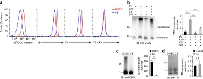 Inhibition Of T Cell Receptor Signaling By Cholesterol Sulfate A Naturally Occurring Derivative Of Membrane Cholesterol Nature Immunology