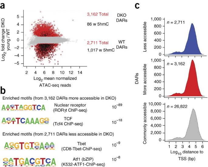 Tet Proteins Regulate The Lineage Specification And Tcr Mediated Expansion Of I Nkt Cells Nature Immunology