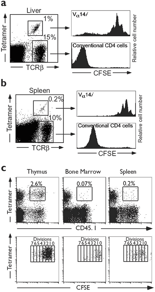 Homeostasis Of V A 14 I Nkt Cells Nature Immunology
