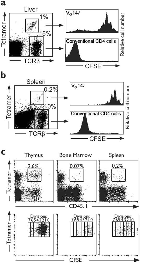 Homeostasis Of V A 14 I Nkt Cells Nature Immunology Homeostasis Of V A 14 I Nkt Cells Nature Immunology
