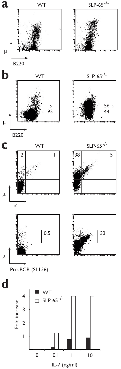 The Adaptor Protein Slp 65 Acts As A Tumor Suppressor That Limits Pre B Cell Expansion Nature Immunology