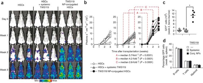 Therapeutic Cell Engineering With Surface Conjugated Synthetic Nanoparticles Nature Medicine