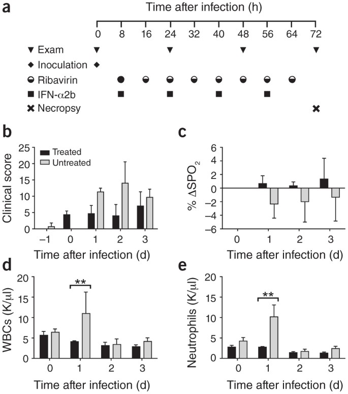 Treatment with interferon-α2b and ribavirin improves outcome in  MERS-CoV–infected rhesus macaques | Nature Medicine