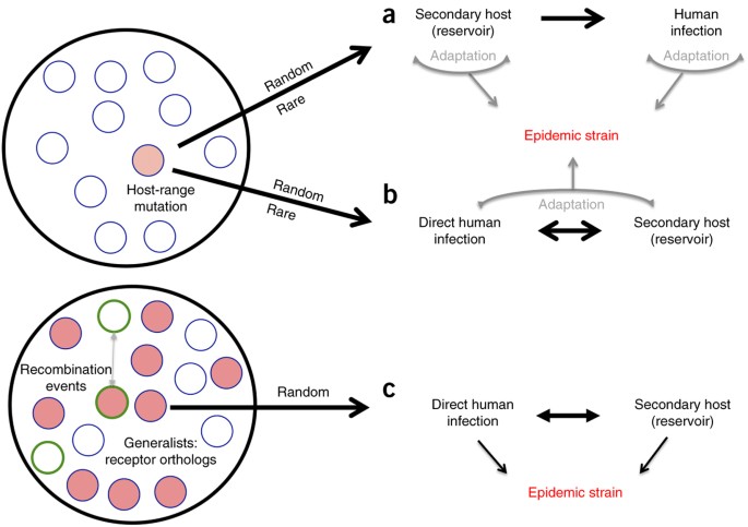 figure4