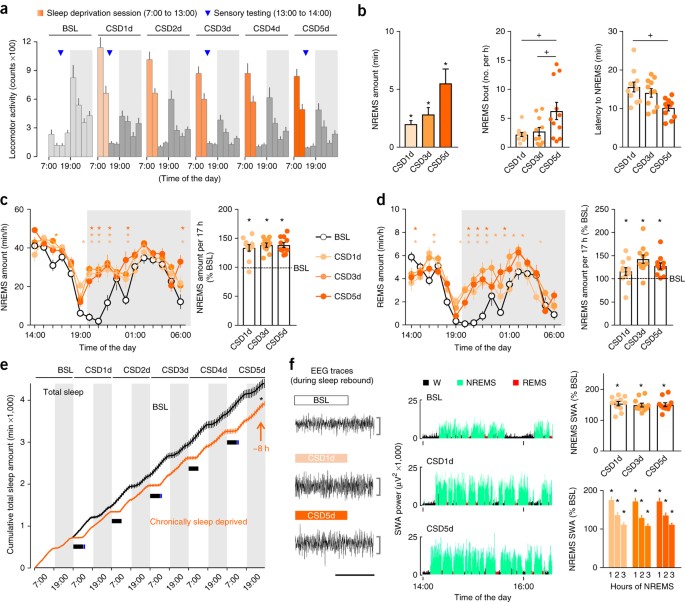 decreased alertness due to sleep loss increases pain sensitivity in mice nature medicine