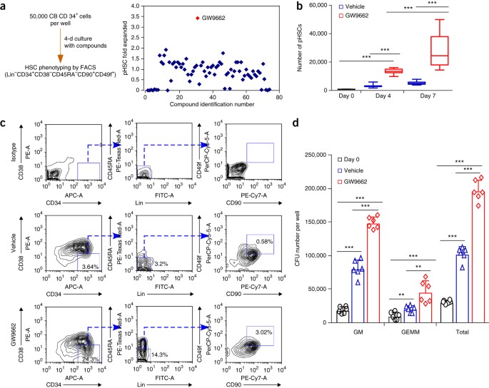 Antagonism Of Ppar G Signaling Expands Human Hematopoietic Stem And Progenitor Cells By Enhancing Glycolysis Nature Medicine