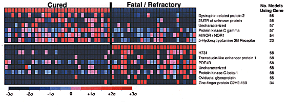 Diffuse Large B Cell Lymphoma Outcome Prediction By Gene Expression Profiling And Supervised Machine Learning Nature Medicine