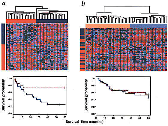 Diffuse Large B Cell Lymphoma Outcome Prediction By Gene Expression Profiling And Supervised Machine Learning Nature Medicine