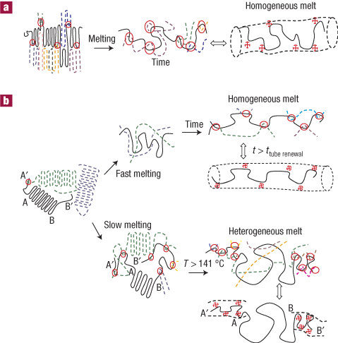 Heterogeneity In Polymer Melts From Melting Of Polymer Crystals Nature Materials