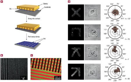 Patterning surfaces with functional polymers | Nature Materials