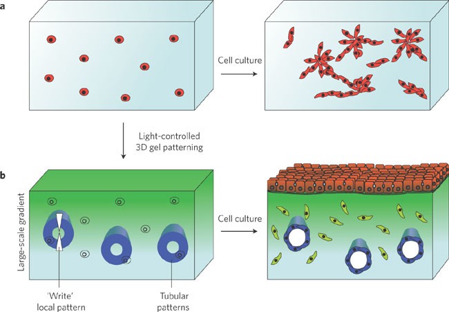 figure1