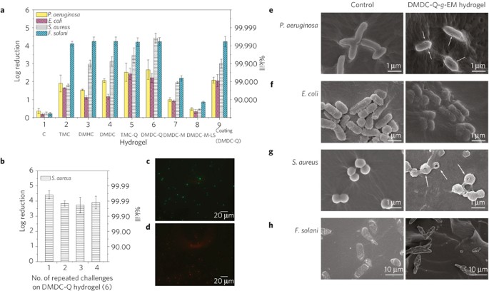 A Polycationic Antimicrobial And Biocompatible Hydrogel With Microbe Membrane Suctioning Ability Nature Materials