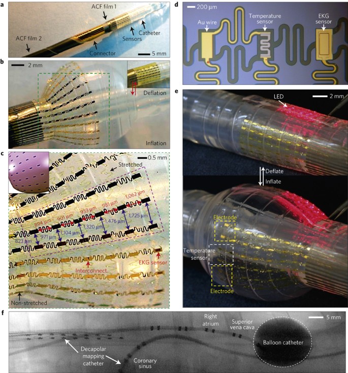 Materials for multifunctional balloon catheters with capabilities in  cardiac electrophysiological mapping and ablation therapy | Nature Materials