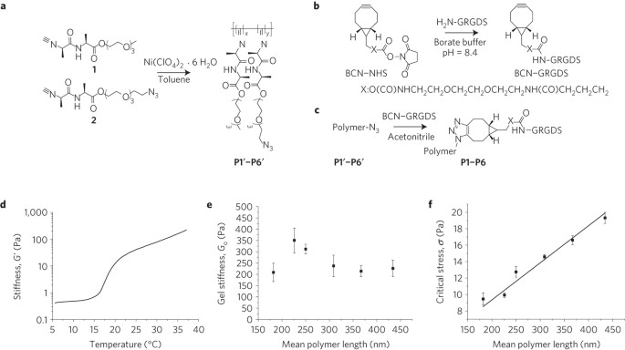 gel and plastic stiffener stress ball