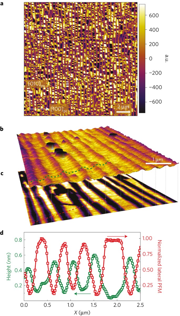 Phase Coexistence And Electric Field Control Of Toroidal Order In Oxide Superlattices Nature Materials